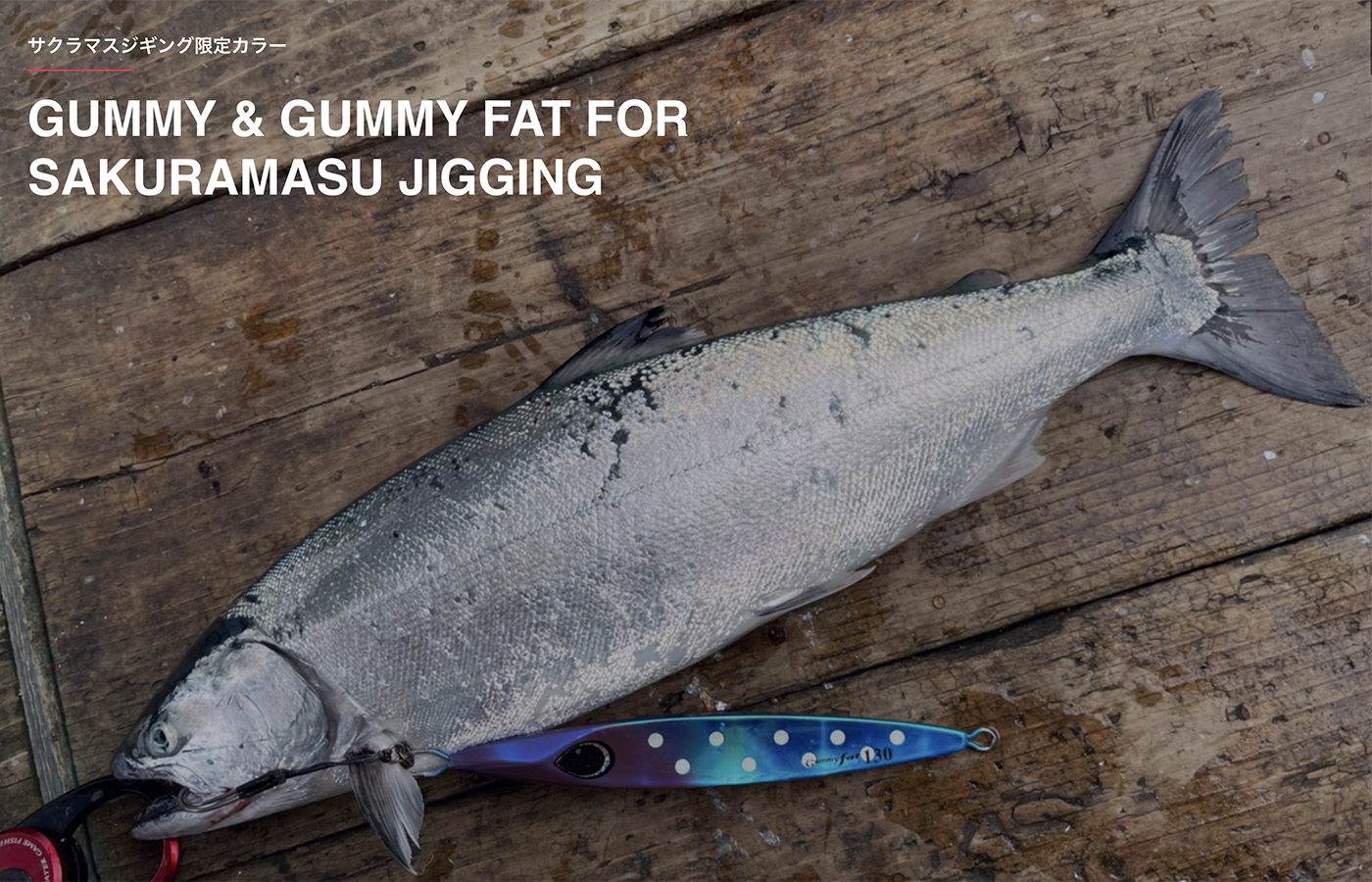 Gummy & Gummy fat for SAKURAMASU Jigging